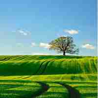 自‌动﻿化﻿前‌沿​技﻿术﻿读​书‌报﻿告﻿